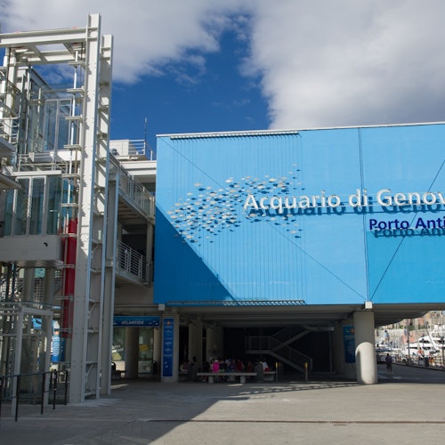 Aquarium of Genoa & The City of Children and Youth: Entry Ticket — gallery 4