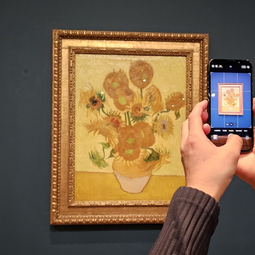 Van Gogh Museum: Skip The Line Entry + 2-Hr Guided Tour — gallery 2