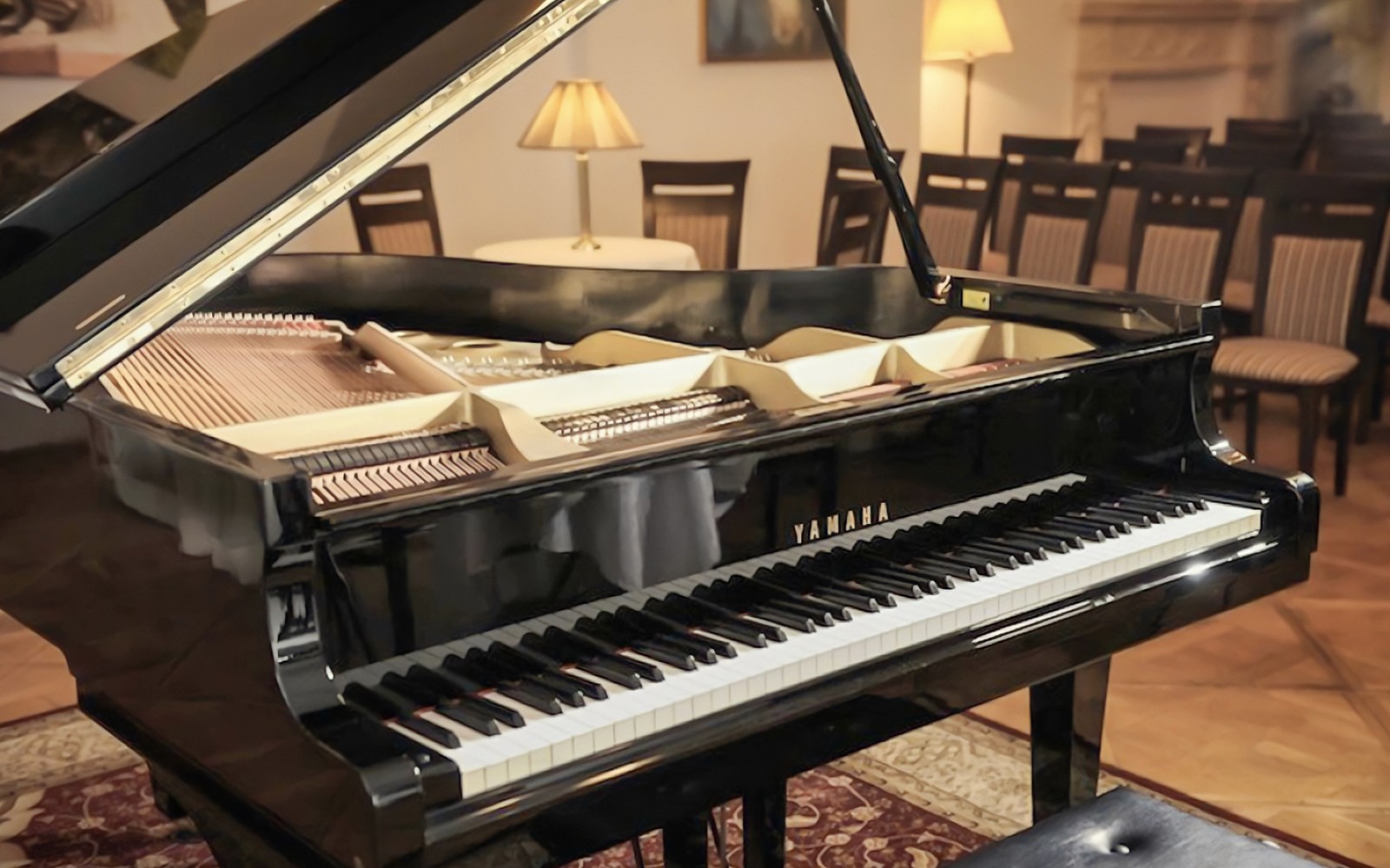 Evening Chopin Piano Concert at Chopin Gallery with a Glass of Wine — gallery 2