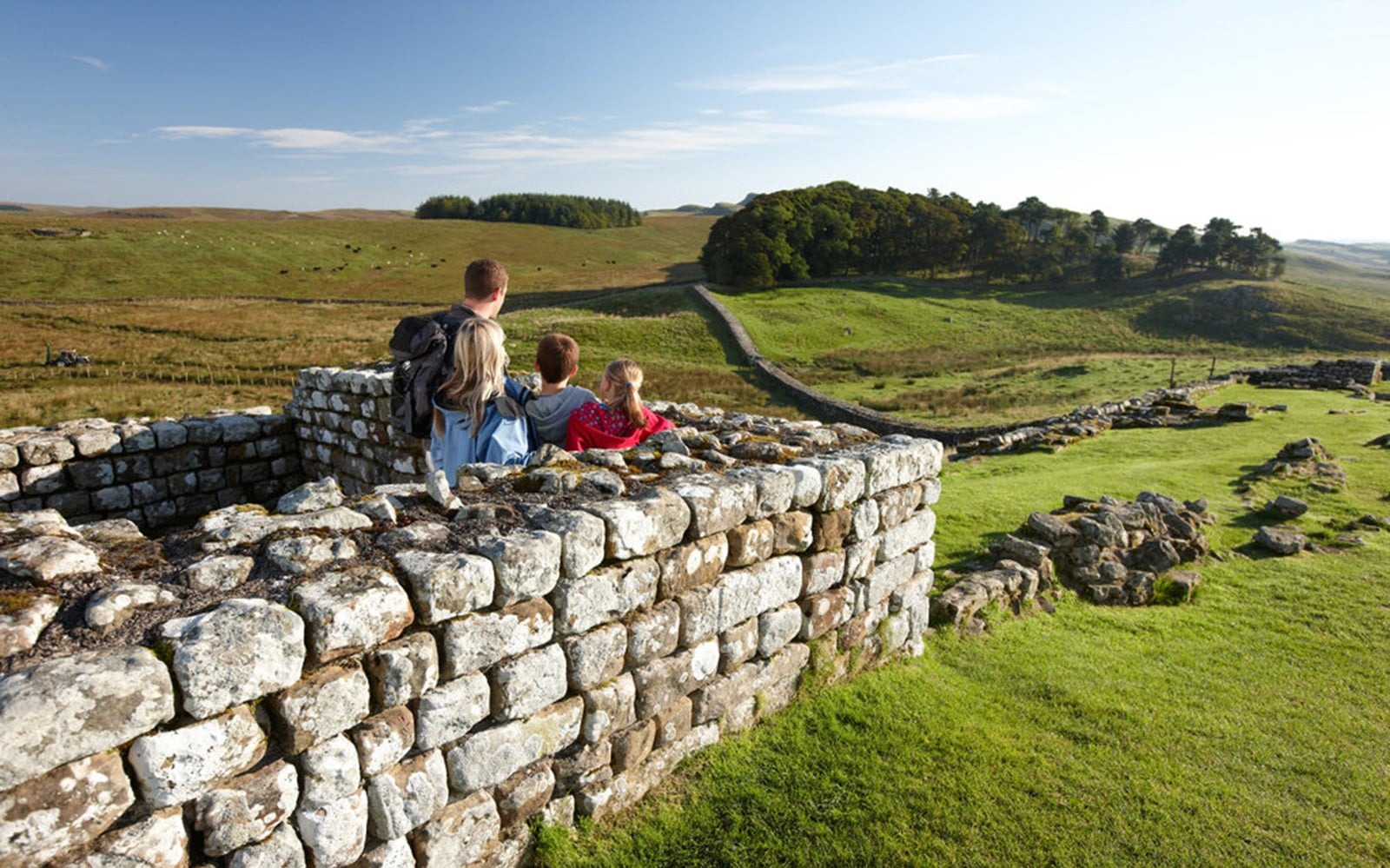 Entry Tickets to Housesteads Roman Fort — main image