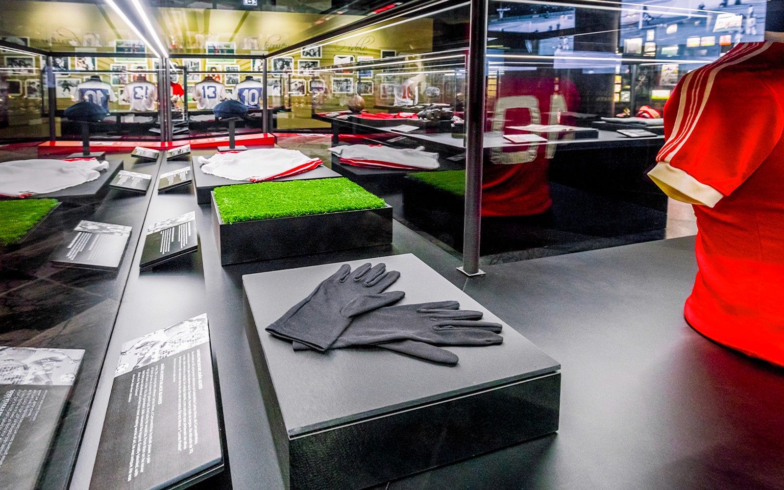 SL Benfica Stadium & Museum Guided Tour with Meal