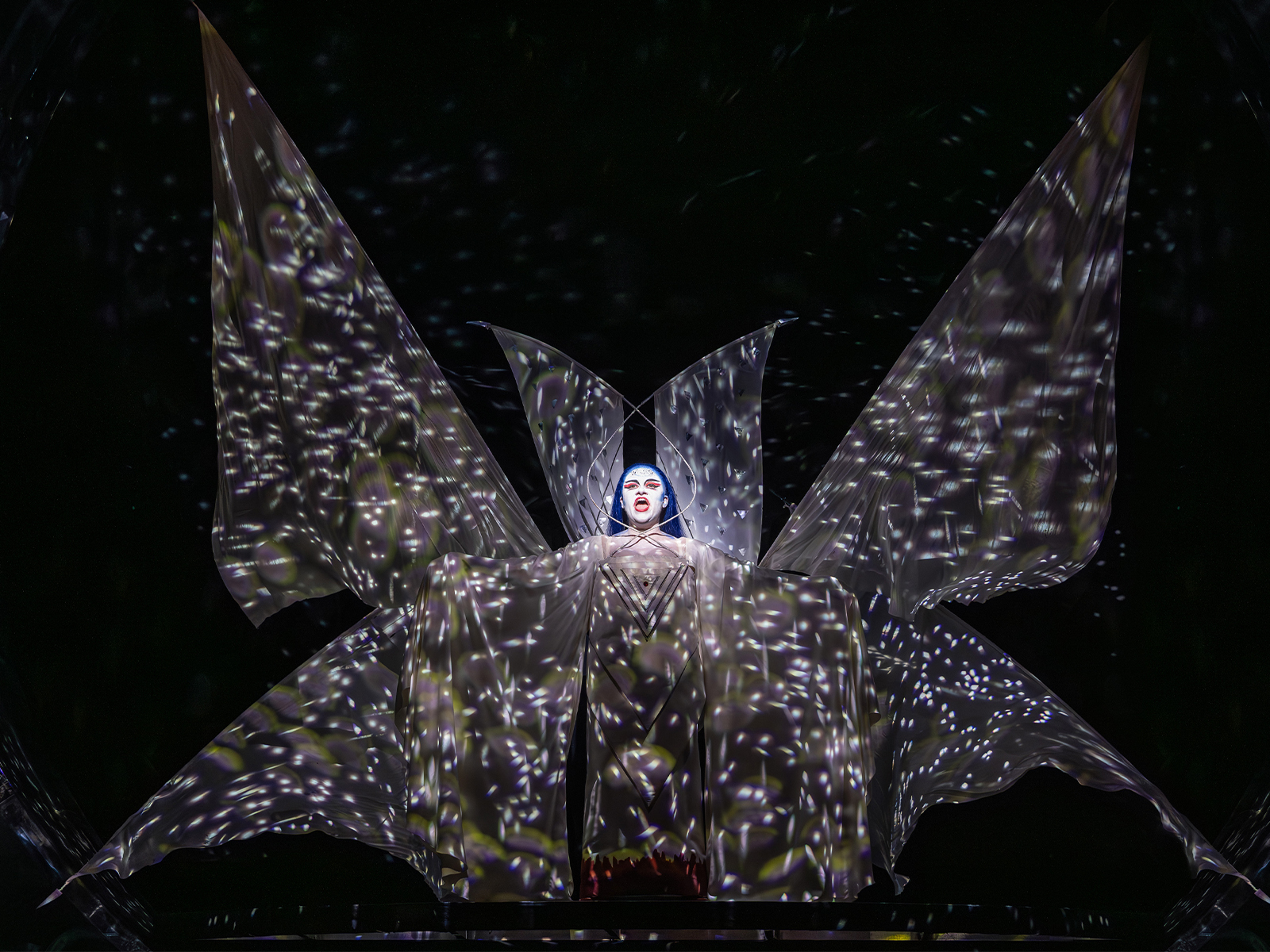 The Magic Flute visitor view at Metropolitan Opera House