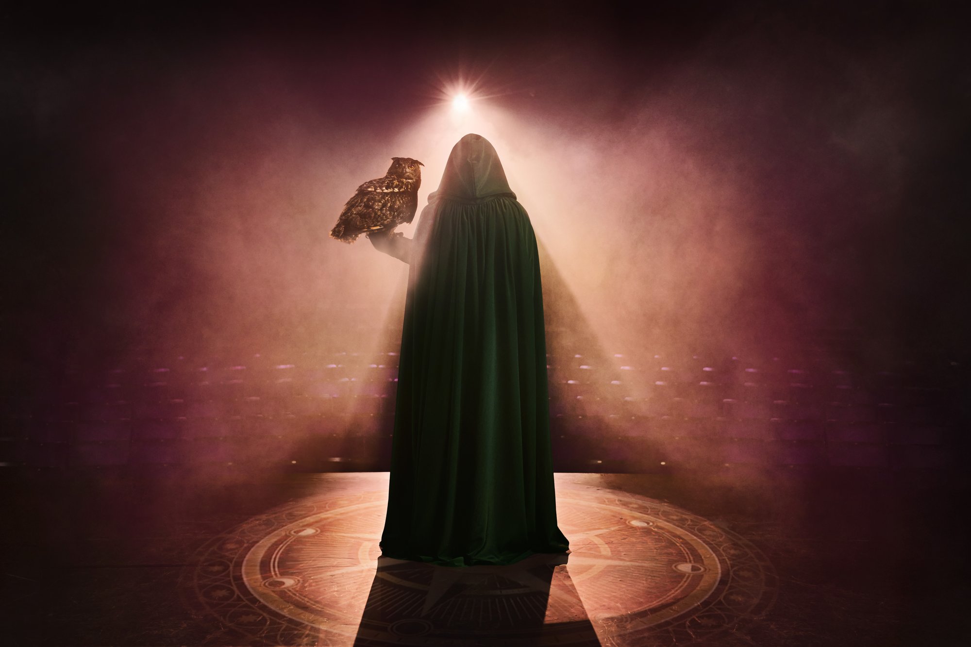 A cloaked Traitor with an owl in the campaign image for The Traitors: Acts of Betrayal. Photo: Matt Crockett