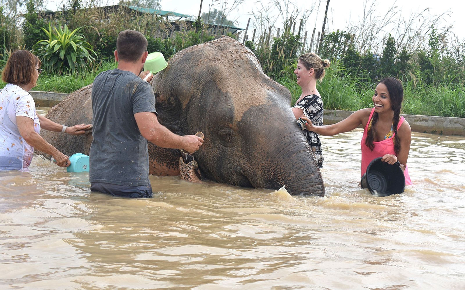 Elephant Jungle Sanctuary Tickets in Pattaya — gallery 2