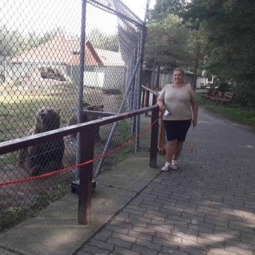 Budapest to Veresegyház Bear and Wolf Sanctuary: Live Guided Tour — gallery 2