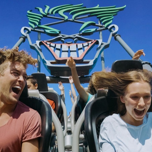 Gold Coast: 4 Parks 5 Days Pass (International Tourists Only) — gallery 2