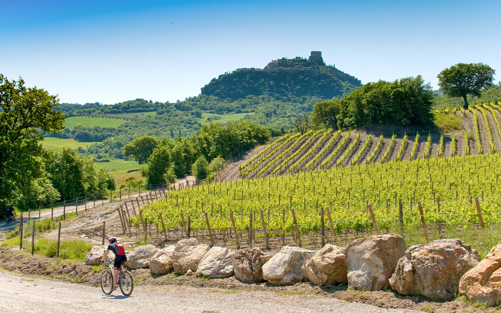 From Florence: E-Bike Tour through Tuscany & Chianti with Lunch — gallery 3