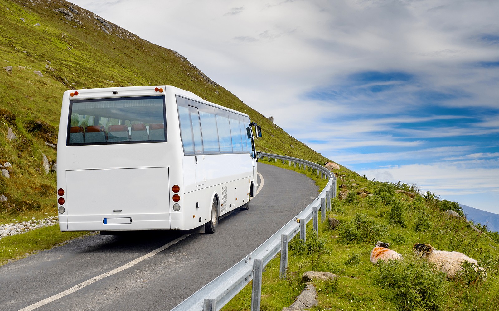 From Dublin: Glendalough, Wicklow, and Kilkenny with Sheepdog Trails Full-Day Trip — gallery 4