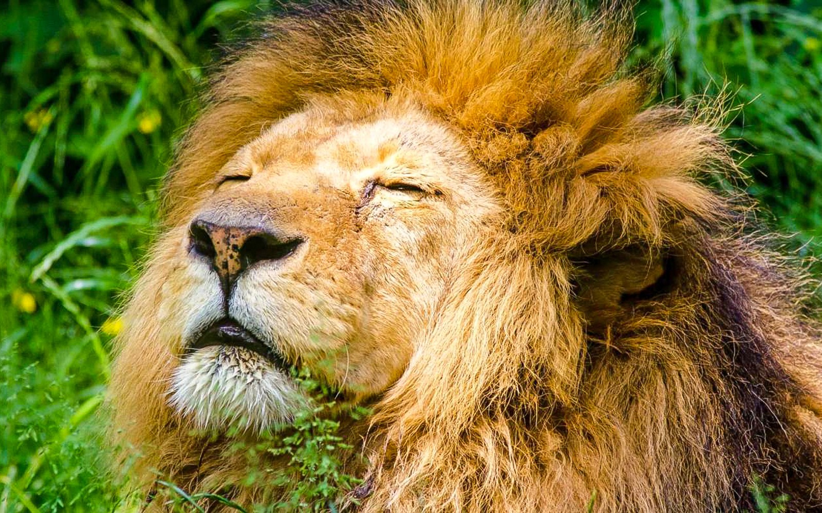 Krakow Zoo Entrance Tickets with Hotel Transfers — gallery 1
