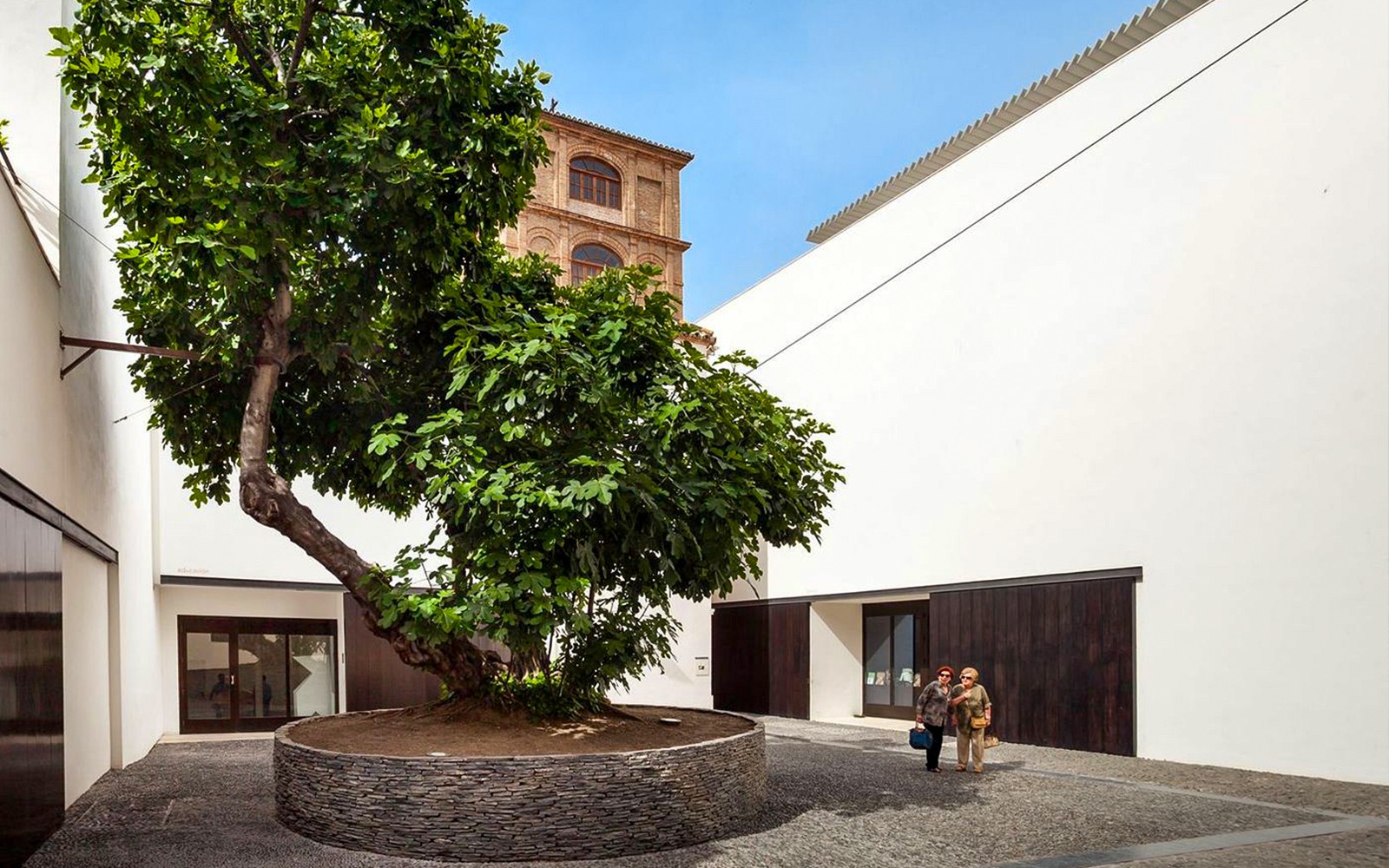 Picasso Museum Malaga Guided Tour