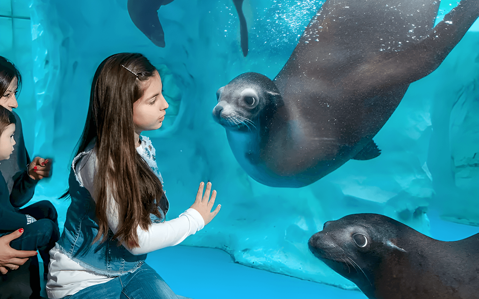 Gardaland Park Tickets