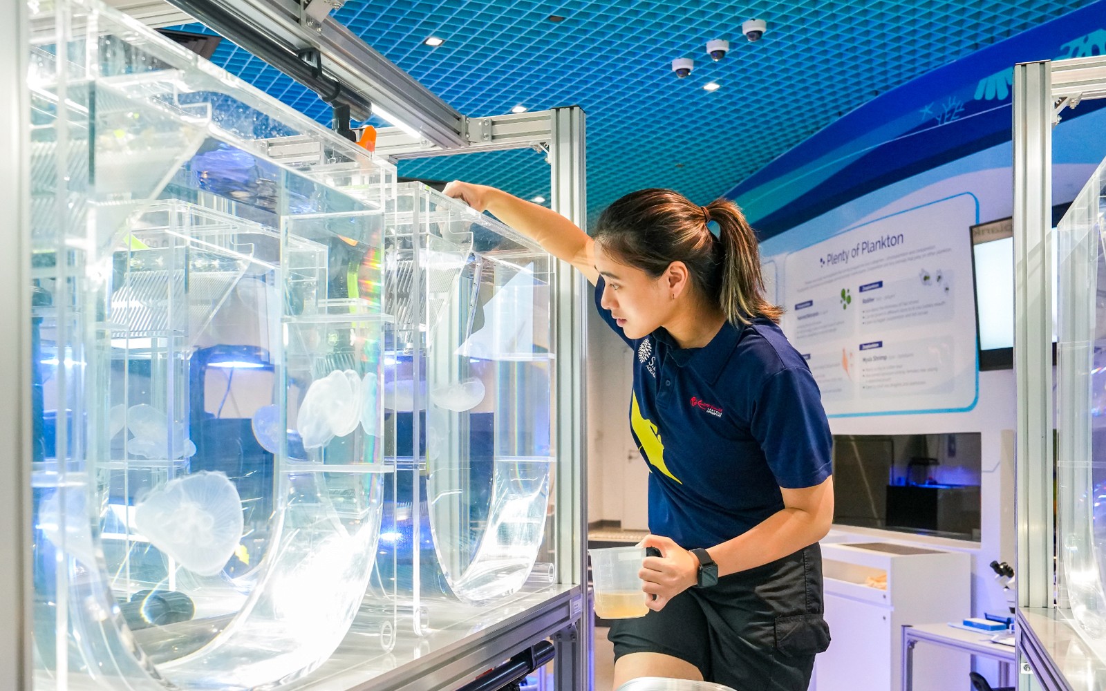 Singapore Oceanarium Tickets — gallery 2