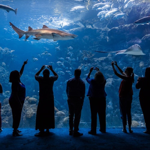 Tampa ZooQuarium: ZooTampa & The Florida Aquarium Combo Ticket — gallery 1