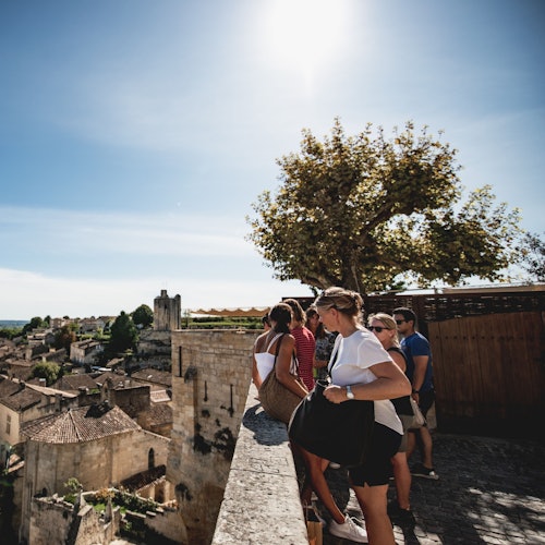 Saint-Emilion: Guided Wine Tasting Tour + Lunch — gallery 1
