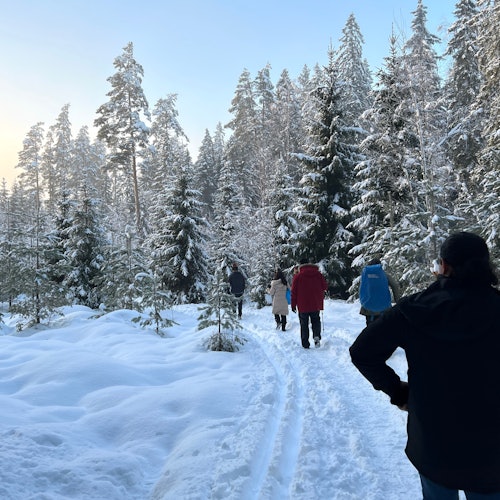 Helsinki: Winter Wonderland Hike