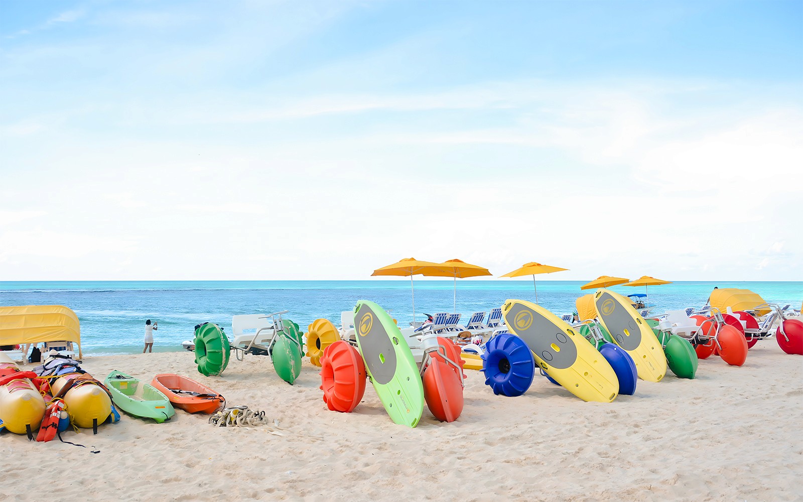 From Fort Lauderdale: Bimini Bahamas Day Trip by Ferry