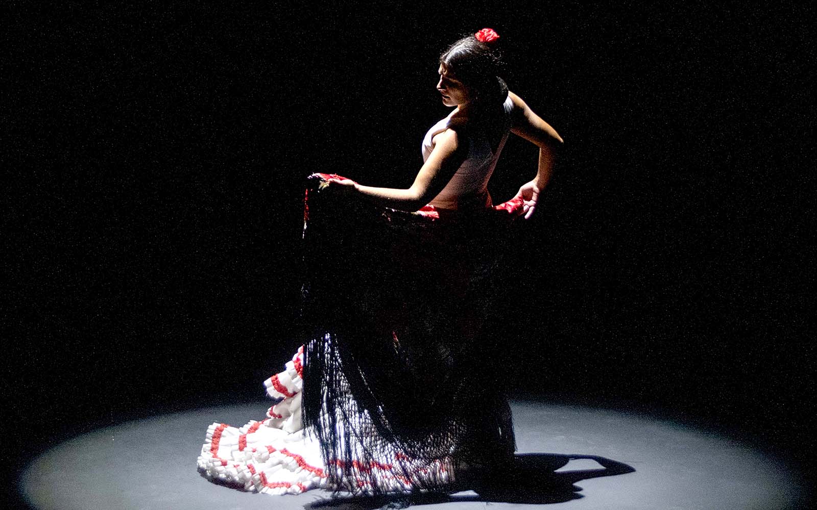 Seville Flamenco Theatre - Passion Show — gallery 1