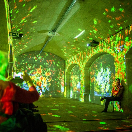 Impressive Monet & Brilliant Klimt in Porto: Skip The Line — gallery 3