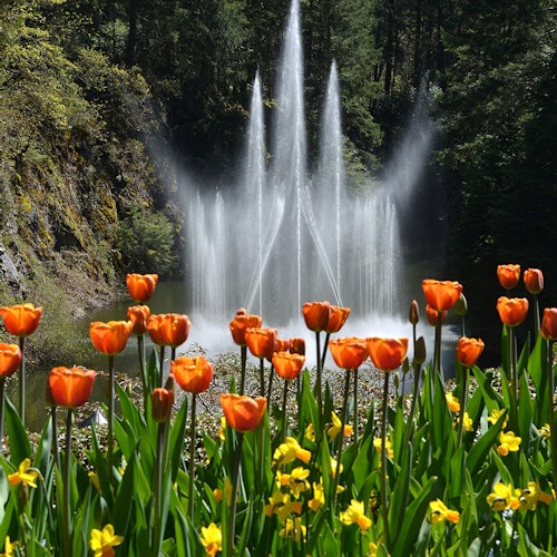 Roundtrip Transport from Victoria to Butchart Gardens — gallery 1