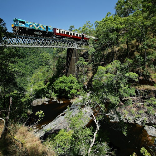 Self-Drive Kuranda Experience: Skyrail Rainforest Cableway & Scenic Rail — gallery 3