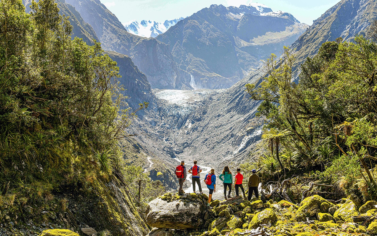 Guided E-Bike & Hiking Fox Glacier Valley Tour — gallery 3
