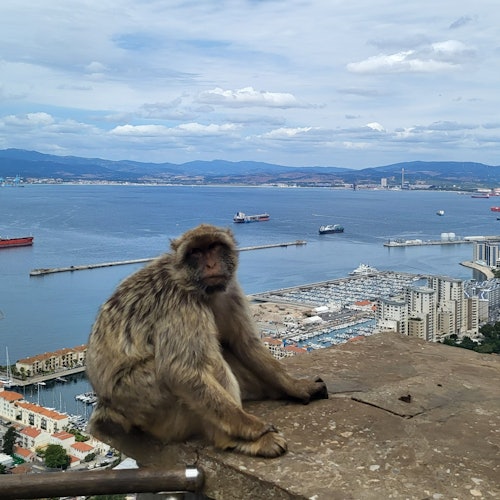 From Málaga: Day Trip to Gibraltar — gallery 2