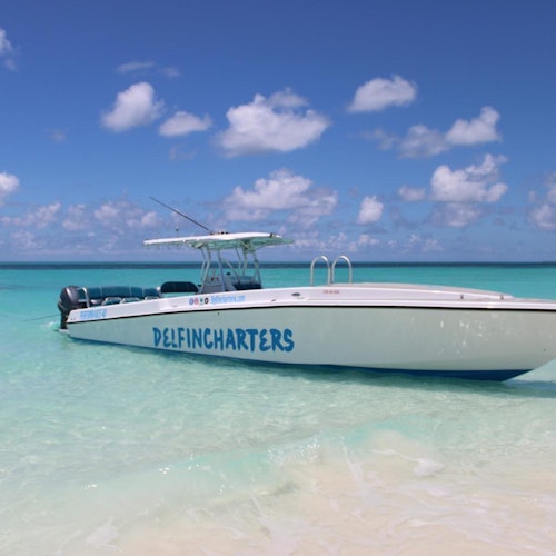 Bahamas: Boat Adventure with Swimming Pigs, Turtles & Snorkeling — gallery 3