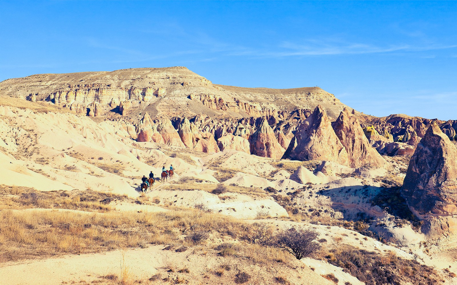 Cappadocia Horse Riding Tour with Transfers — gallery 5