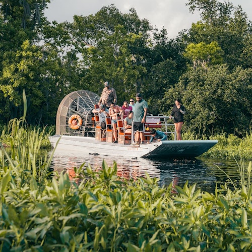 New Orleans: Small Airboat Ride — gallery 2