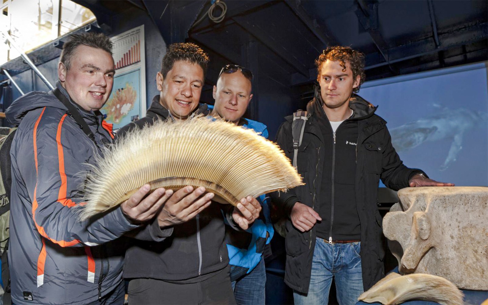From Reykjavik: Midnight Sun Whale Watching Tour — gallery 4