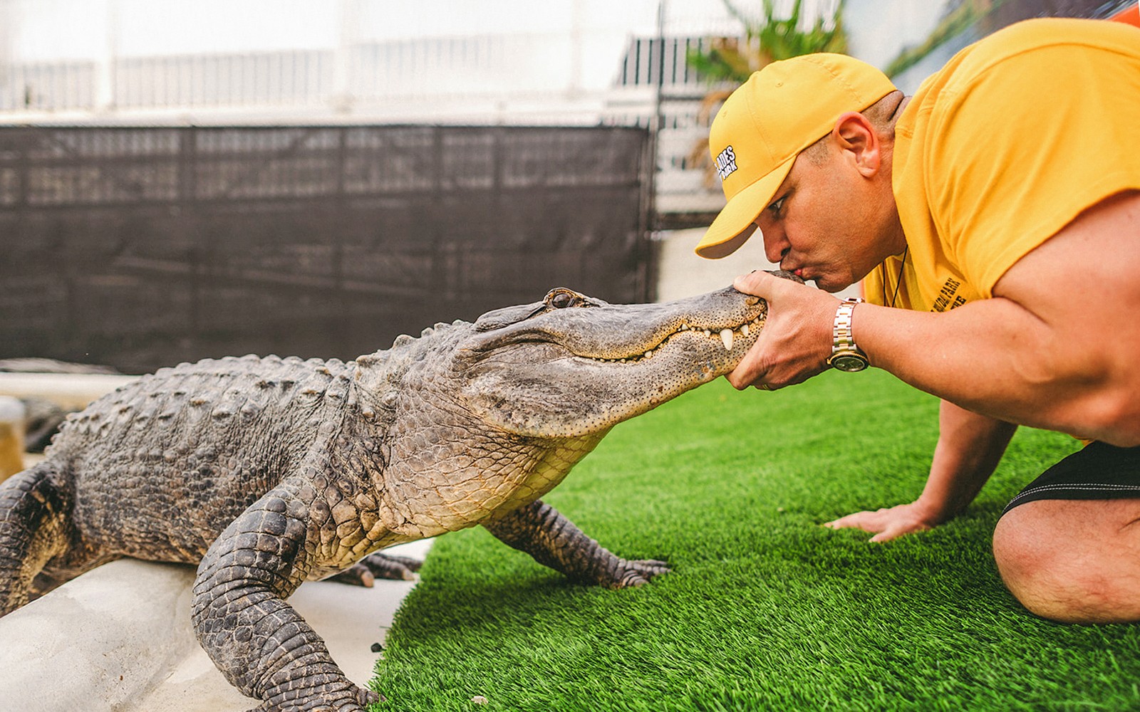Miami: Everglades Holiday Park Airboat Tour with Alligator Show — gallery 2