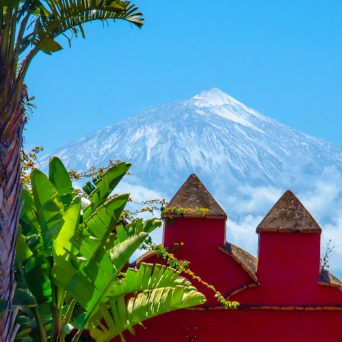 Museo del Vino de Tenerife: Visit and Tasting — gallery 1