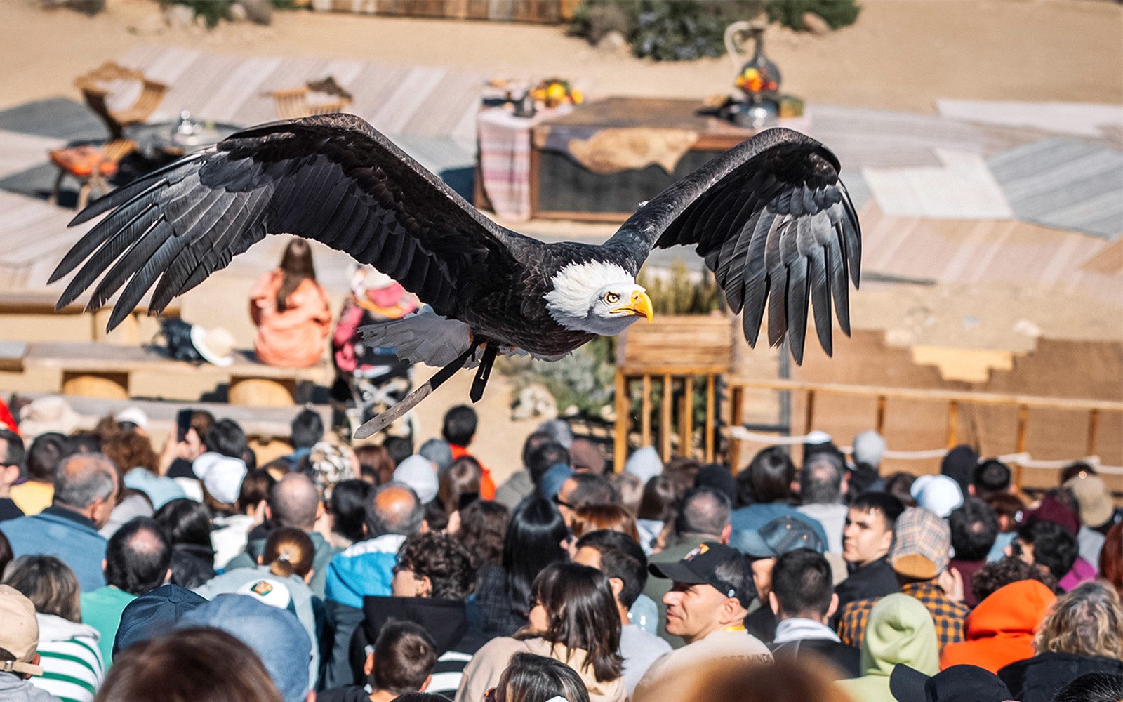 Puy Du Fou España Entry Tickets — gallery 4