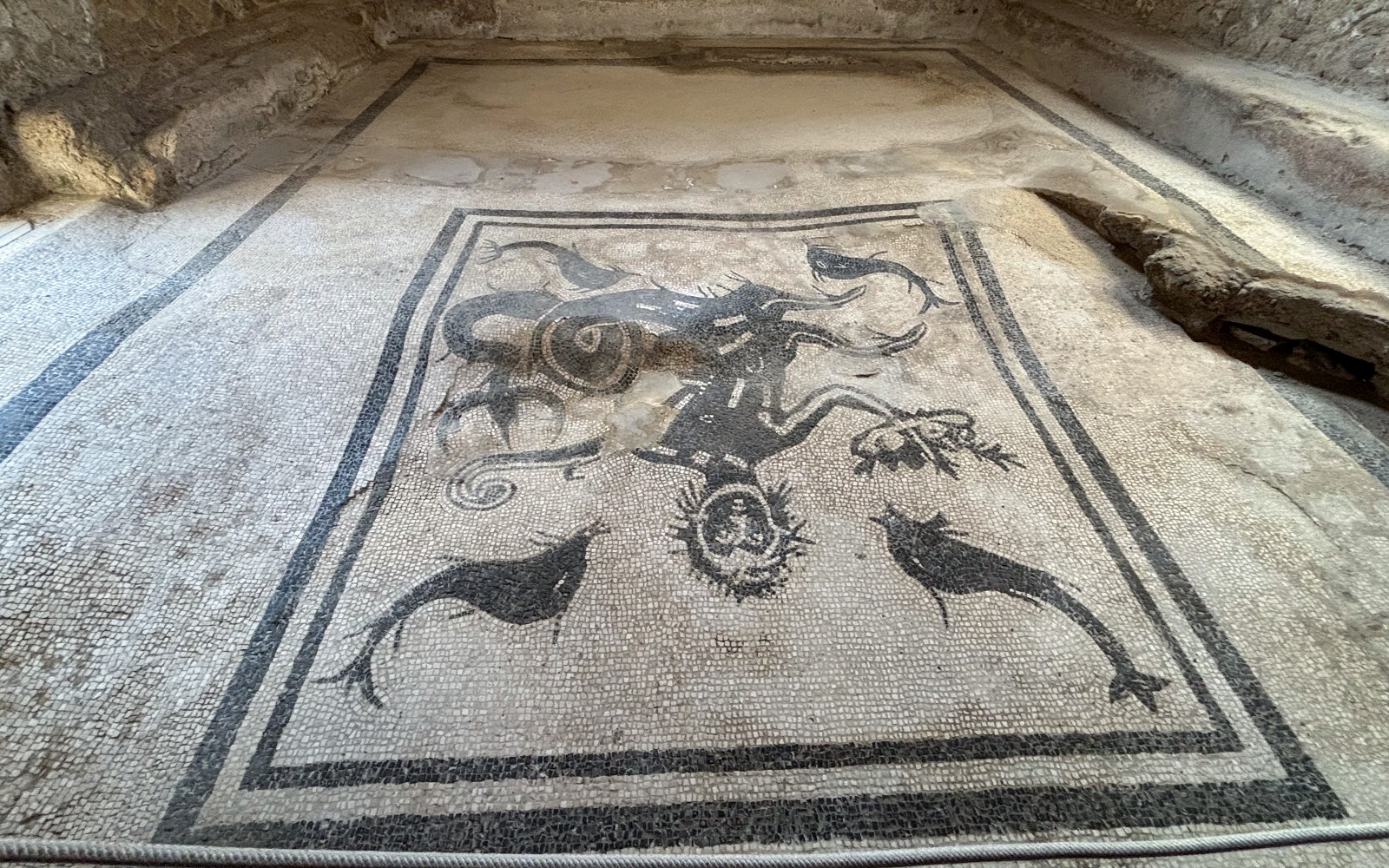 Herculaneum Guided Tour with an Archaeologist