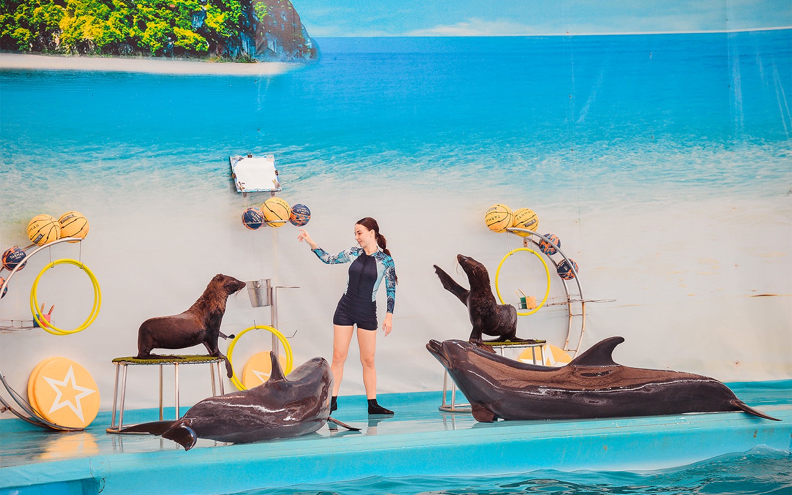 Phuket Dolphin Show Tickets: Foreigners
