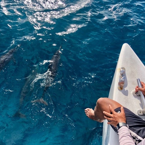 Go City Hawaii: All-Inclusive Oahu Pass