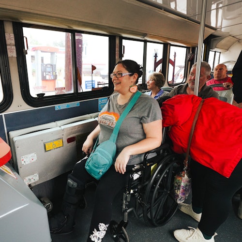 City Sightseeing New Orleans: 3-Day Hop-on Hop-off Bus + 2 Walking Tours — gallery 2