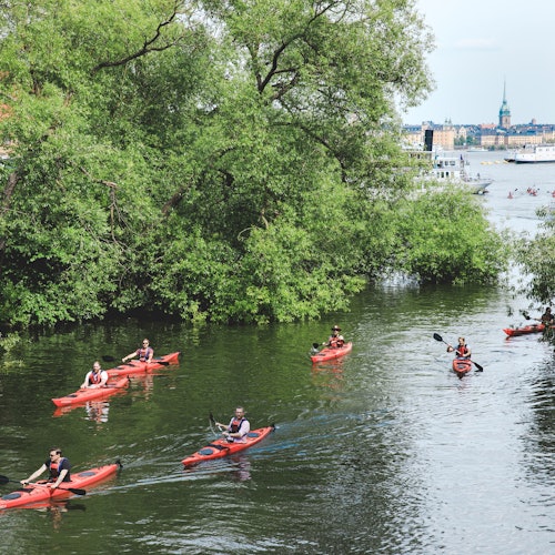 Stockholm: Self-Guided Kayak Tour — gallery 5