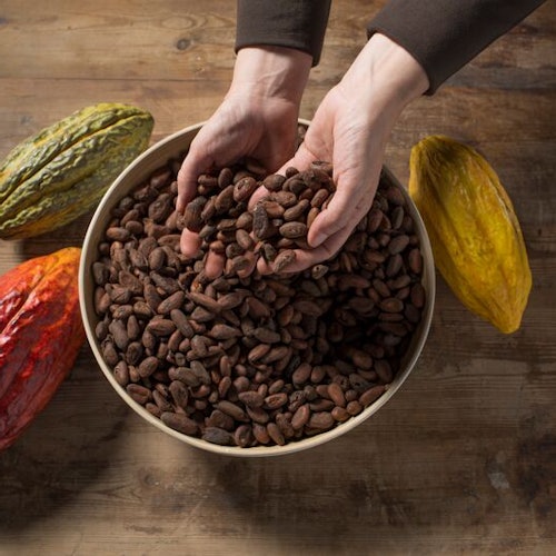 Simón Coll Chocolate Experience: Guided Visit — gallery 2
