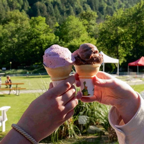 Vancouver: UNESCO Biosphere & Bowen Island Boat Tour — gallery 5