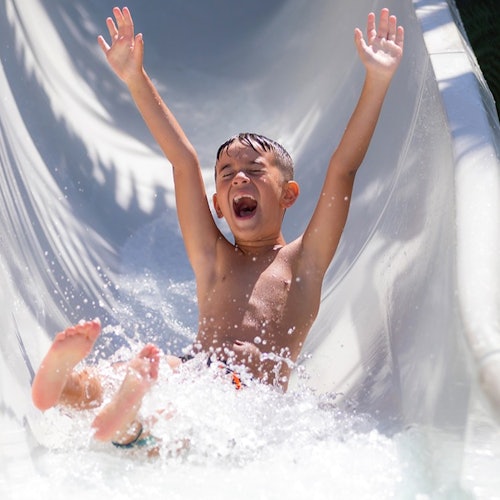 Loro Parque & Siam Park: Entry Ticket + Transfers — gallery 3