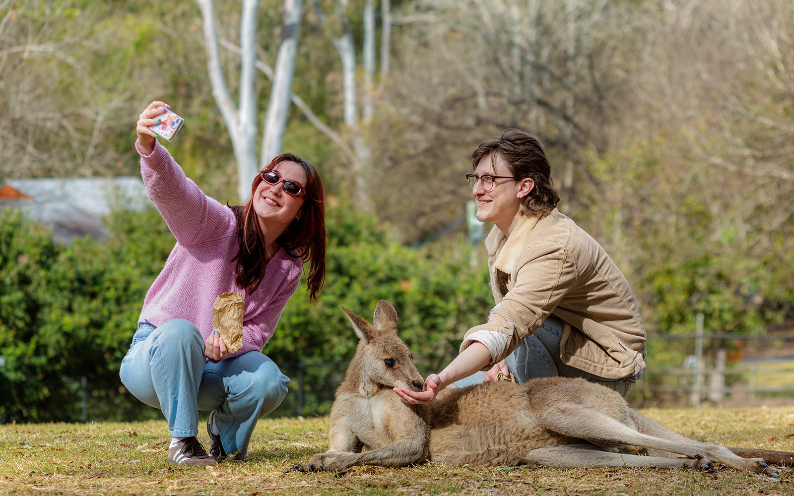 Lone Pine Koala Sanctuary Tickets — gallery 4