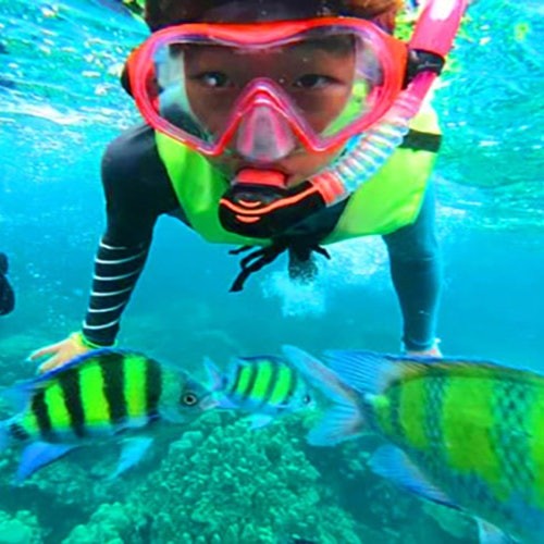 Krabi: One Day 4-Islands Hopping Snorkelling Tour by Longtail Boat or Speed Boat — gallery 2