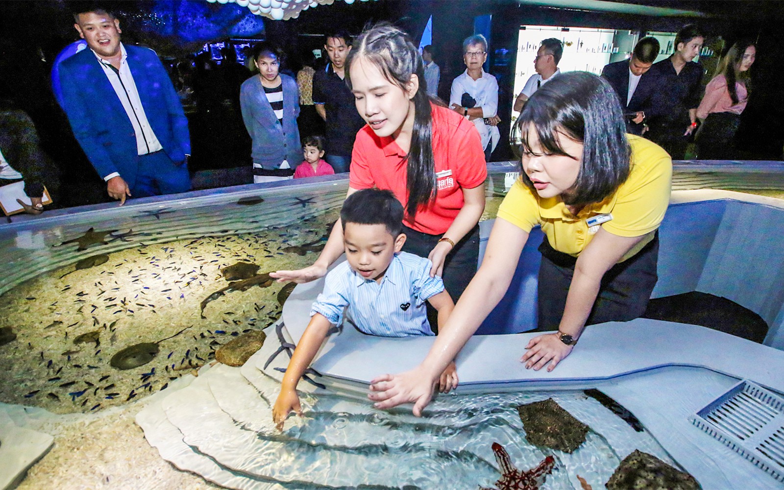 Aquaria Phuket Tickets: Thai Residents