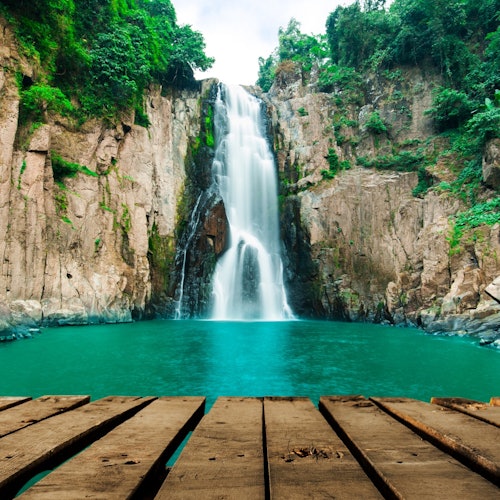 Khao Yai National Park Tour from Bangkok – Full Day — gallery 1