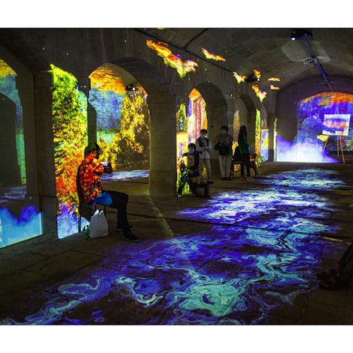 Impressive Monet & Brilliant Klimt in Porto: Skip The Line — gallery 5