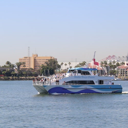 Long Beach: Whale and Dolphin Watching Cruise — gallery 2