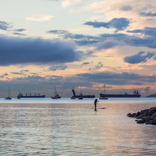Vancouver: Evening Guided Bus Tour of Stanley Park — gallery 2