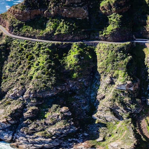 Cape of Good Hope & Boulders Beach: Small-Group Tour — gallery 3