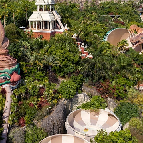Loro Parque & Siam Park: Entry Ticket + Transfers — gallery 2